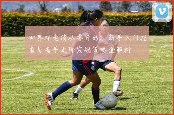 世界杯竞猜从零开始：新手入门指南与高手进阶实战策略全解析